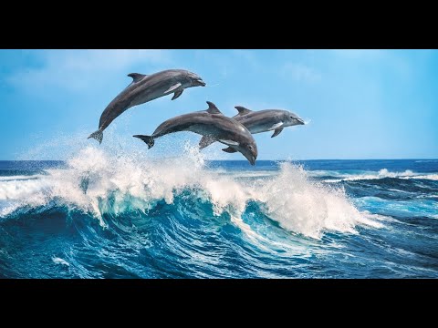 MEMORIES OF ATLANTIS - Jean - Marc Staehle