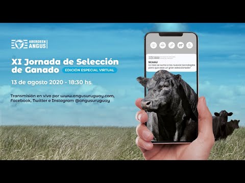 XI Jornada de Selección de Ganado Angus - Edición Especial Virtual 2020