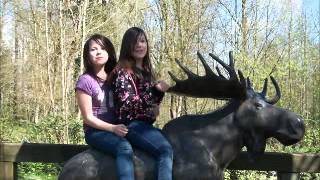 Moe Bandy   Too old to die young