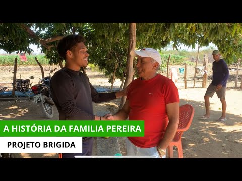 A HISTÓRIA DA FAMILIA PEREIRA  PROJETO BRIGIDA OROCÓ-PE