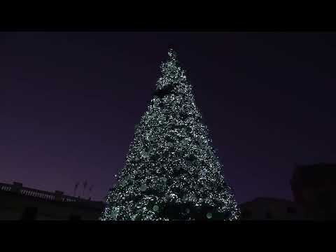 Luci d'artista a Salerno, si accende il mega albero di Natale