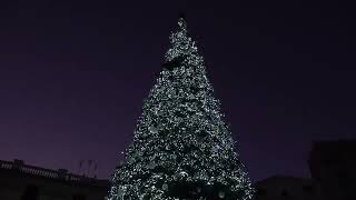 luci-d-artista-a-salerno-si-accende-il-mega-albero-di-natale