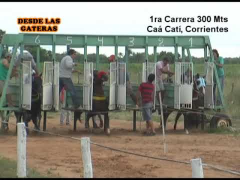 TARADO - Caa Cati 10-02-13