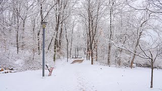 Morning Snowy Park that Jennifer and I Walk Every Day | Ambience Sounds 4K HDR