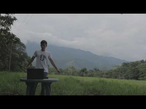 Jungle groove 🌴 Afro House mix | Juan Productions