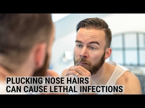 download lagu mp3 mp4 Plucking Nose Hairs, download lagu Plucking Nose Hairs gratis, unduh video klip Plucking Nose Hairs