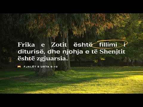 Frika e Zotit - 20 Korrik 2025