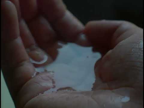 All The Wrong Feelings Trailer