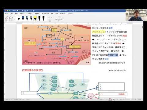 薬学科 早田 匡芳 准教授