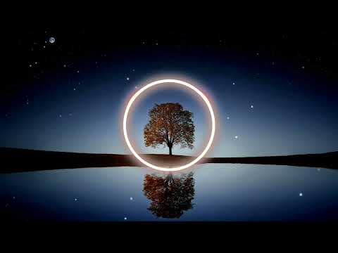 Follow Me - Dimelix & Maria Beyer