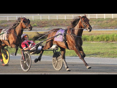 Alrajah One & Dexter Dunn won The Spirit Of Massachusetts Trot $250,000 in 1.50,3 at Plainridge Park