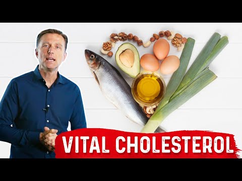 The Real Purpose of Cholesterol – Dr Berg on Cholesterol levels Part 1