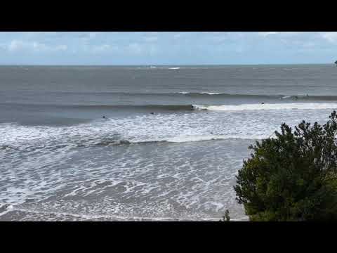 Fisho’s Fun - Torquay