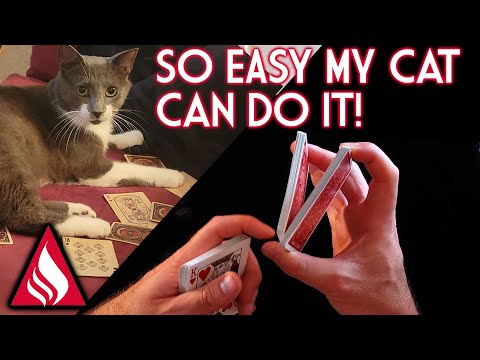 4 EASY False Cuts Tutorial | Begginer Cardistry/Magic