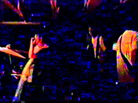The Ladybird Unition - Hoedown'95 - Upswing