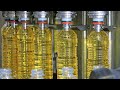 Refined sunflower oil for sale. - фото 1