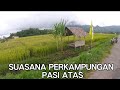 Keindahan Alam Di Pasi Atas Kel Pamilang Kota Singkawang Di Musim Panen Padi