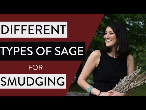 The Different Types of Sage for Smudging 🔥 (and what types of smudging you can use)