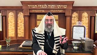 מדיני כתיבת המגילה ועשייתה (הרב יצחק ישראלי) - התמונה מוצגת ישירות מתוך אתר האינטרנט יוטיוב. זכויות היוצרים בתמונה שייכות ליוצרה. קישור קרדיט למקור התוכן נמצא בתוך דף הסרטון