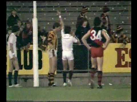 1981 Escort Cup QF - Essendon v Hawthorn