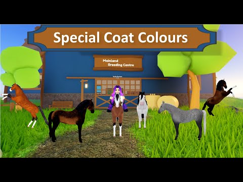 Special Coat Colours - Wild Horse Islands