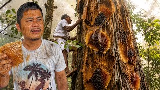The Deadly Hunt for Liquid Gold | Full Documentary