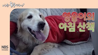 [나는농부다 282회] 다육 식물 농장 댕댕이 영웅이의 아침 산책