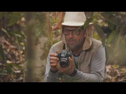 Campanha Institucional 2017