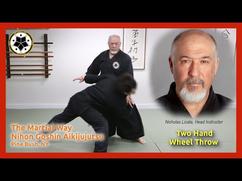 Two Handed Wheel Throw Defense