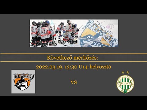U14  bajnokság Veszprémi Jéglovagok - FTC Telekom B
