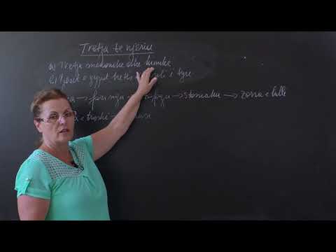 BIOLOGJIA 10 - Gypi ushqimor dhe ndërtimi