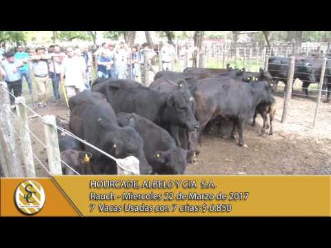 22-03-17 Venta de Vientres - Hourcade, Albelo y Cia S.A. - Rauch.