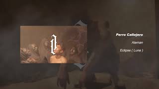 Alemán - Perro Callejero