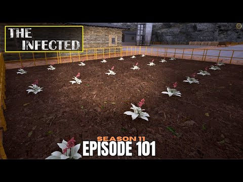 These Plants Are Frustrating! The Infected Gameplay [S11E101]