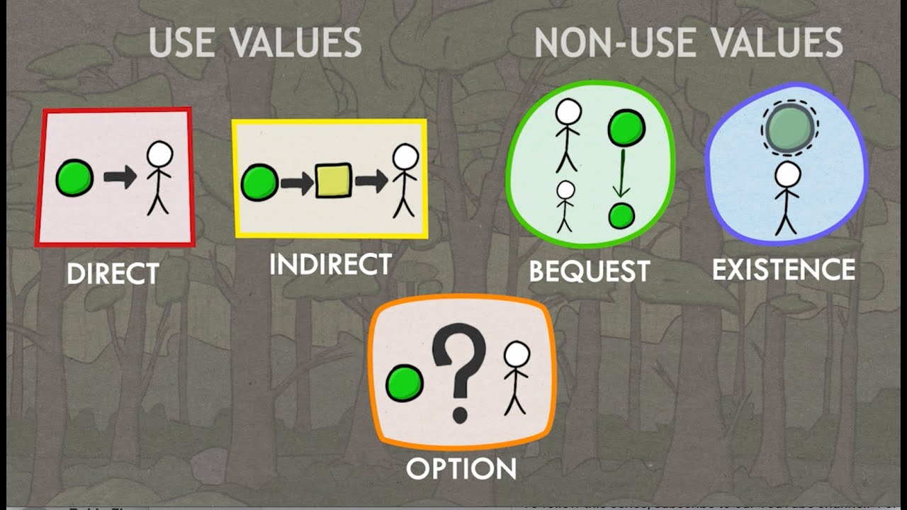 Valuation of Ecosystem Services: Classes of Values