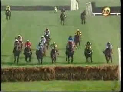 Shadow Leader - Supreme Novices' Hurdle Cheltenham 1997