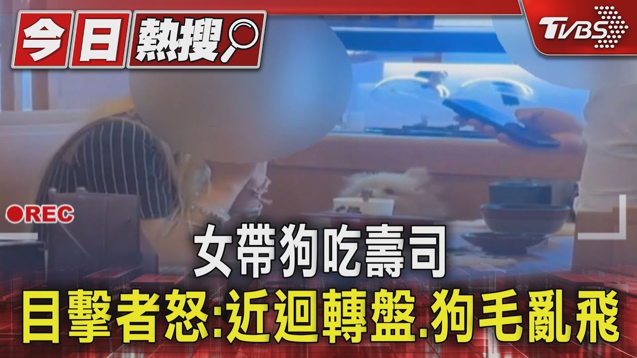 女帶狗吃壽司 目擊者怒:近迴轉盤、狗毛亂飛
