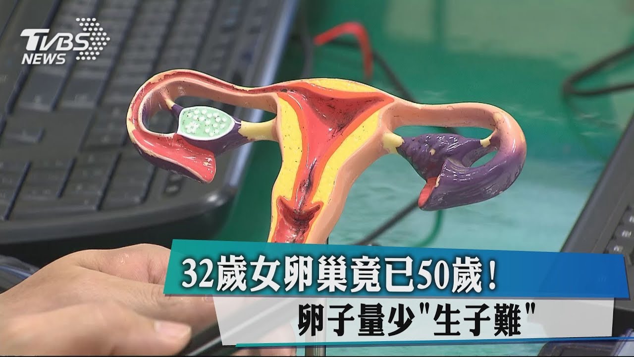 32歲女卵巢竟已50歲！　卵子量少生子難