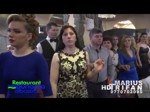 8 Martie 2016 Dunarea Albastra - Damian Conac, Colaj Hore LIVE (cover)