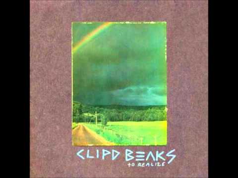 clipd beaks - desert highway music - to realize (lovepump united, 2010)