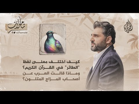 تأملات ـ كيف اختلف معنى لفظ "الطائر" في القرآن الكريم؟ وماذا قالت العرب عن أصحاب المزاج المتلون؟