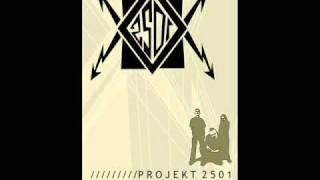 Projekt 2501 - Forsaken (VNV Nation Cover)