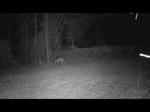 MUD 0053 11 06 2021 08 10pm