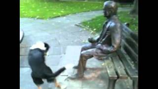 Собака и парковая скульптура