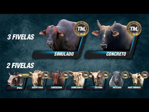 CRP Interativo - Ibirarema Rodeo Fest 2018