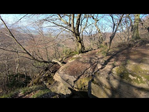 Wanderung zu den Klippen vom Hohenstein   Ausblick vom grünen Altar