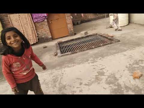 My dog 🐕🐕 racing