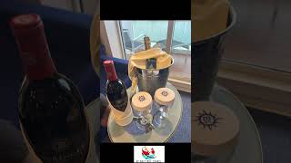 Explore the MSC Magnifica: Your Cruise Guide! 🚢✨