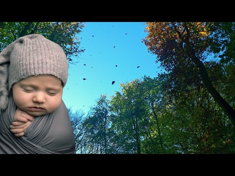 🌳 Szum wiatru, szelest liści ukołyszą Twoje dziecko do snu w kilka minut 😴 #bialyszum