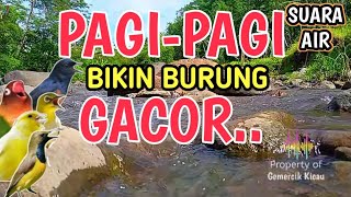 Download lagu PAGI-PAGI GACOR‼️ 1 Jam Suara Air Sungai Bikin Burung Rajin Bunyi mp3 Download lagu PAGI-PAGI GACOR‼️ 1 Jam Suara Air Sungai Bikin Burung Rajin Bunyi mp3